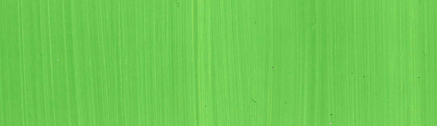 Cadmium Green Light