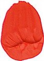 Cadmium Red Light Hue