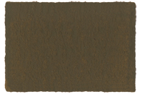 Raw Umber 15ml