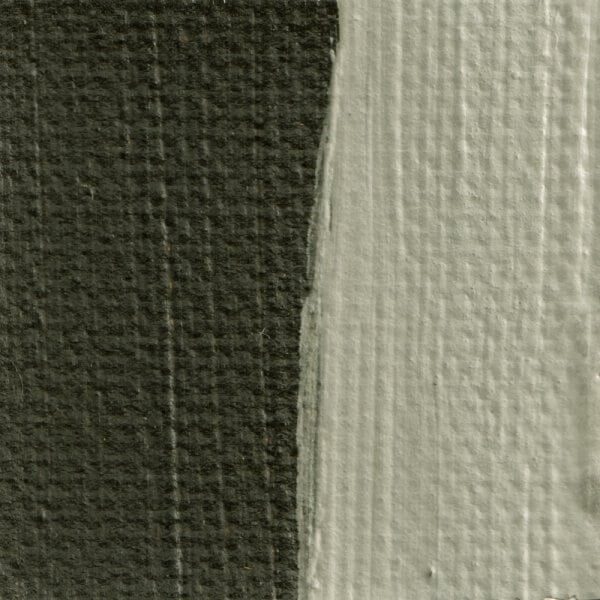 Italian Raw Umber Green 50ml